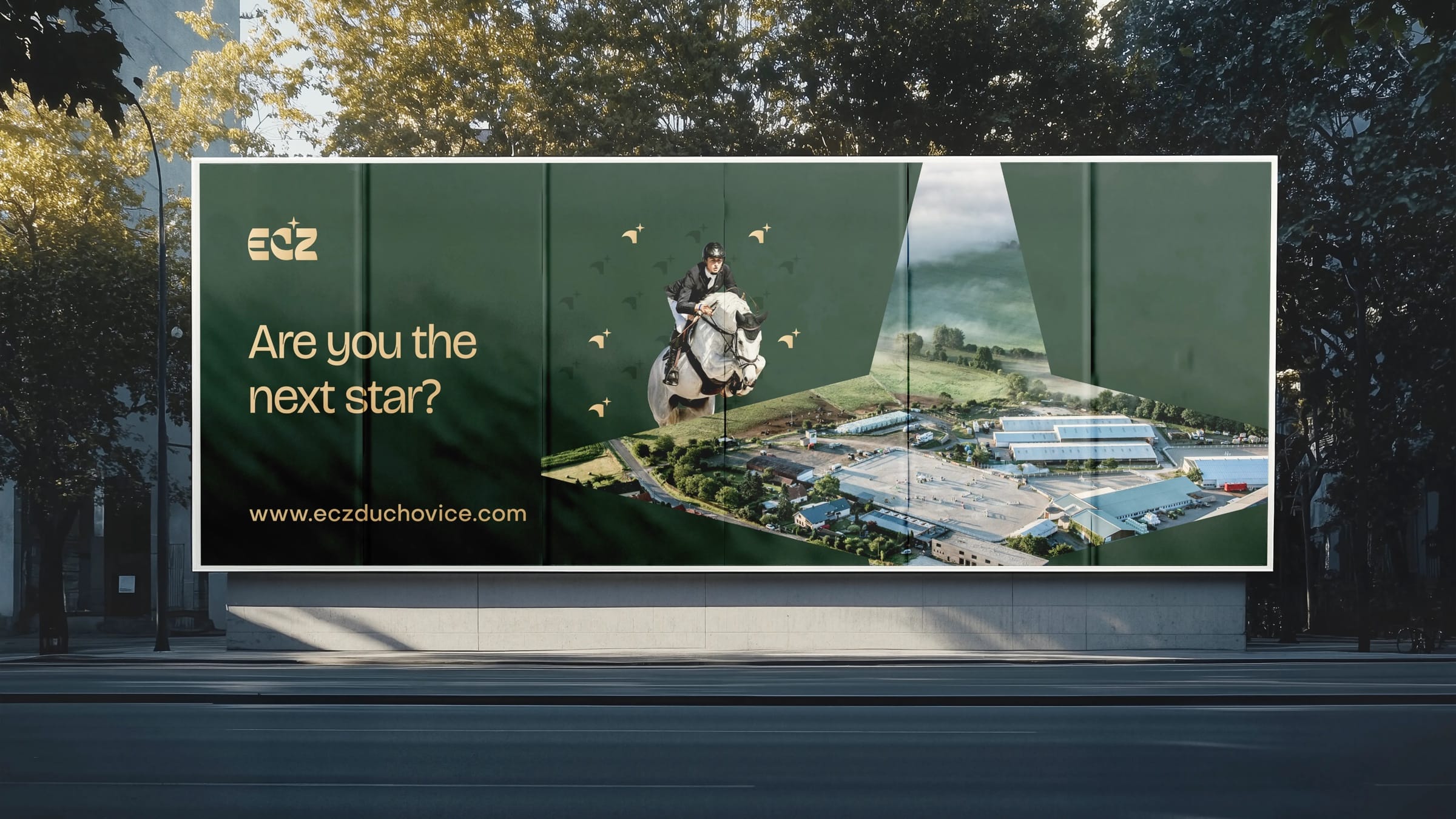 A dark green ECZ billboard on a city street asking “Are you the next star?” beside a show jumper framed by stars.
