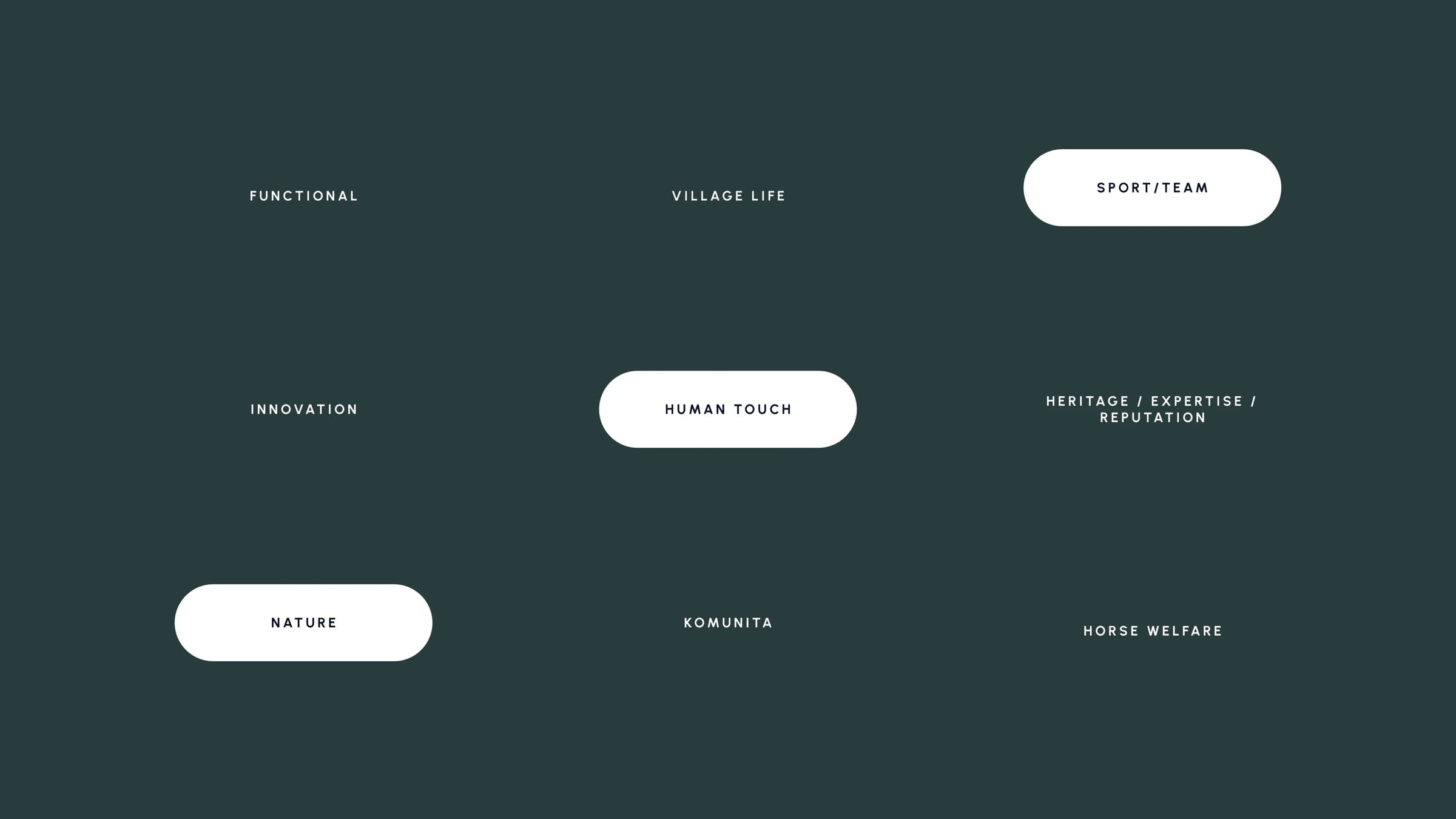 Nine brand keywords on dark green, with sport and team, human touch and nature highlighted as the core three.