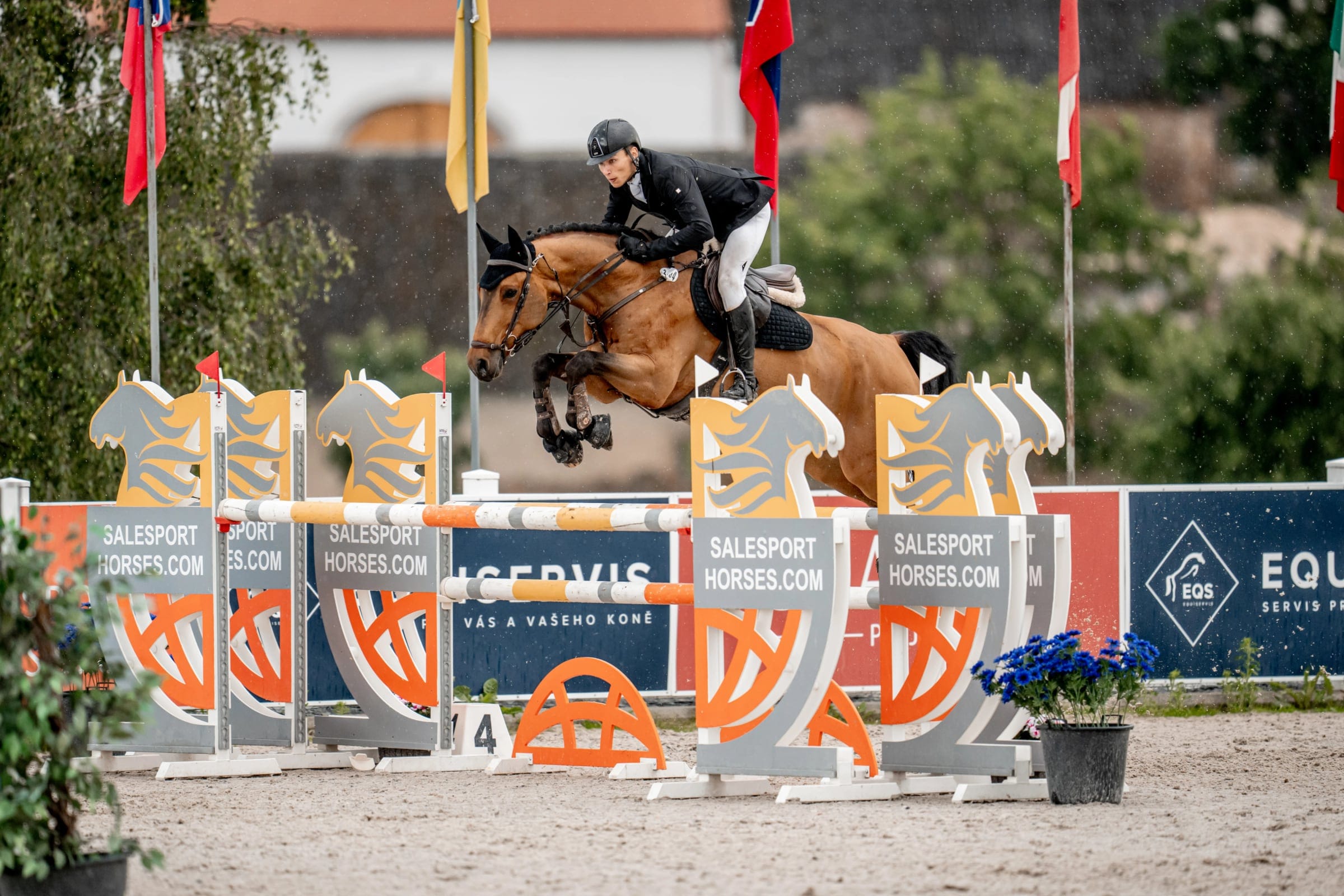 A rider in a black jacket clears an oxer on a bay horse, with national flags and trees behind the arena.