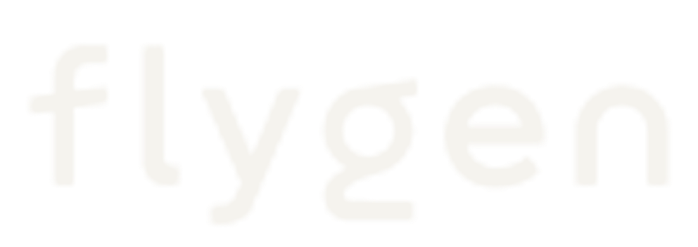 Flygen